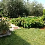Violeta Apartament