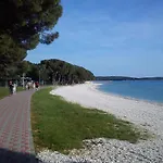 Apartament Violeta *