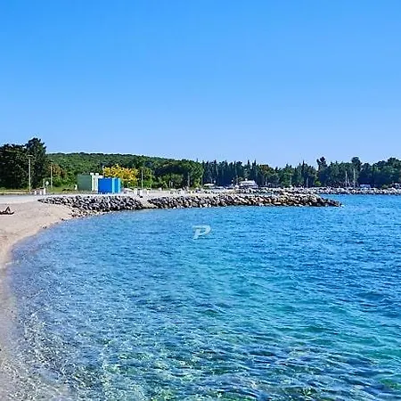 Violeta * Pula