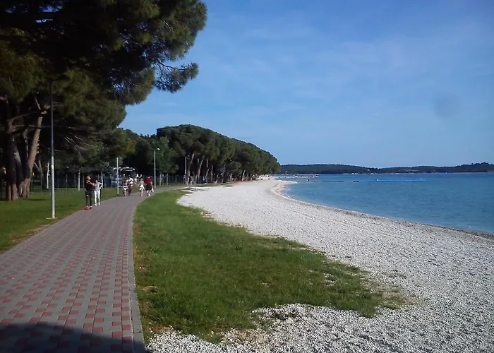 Apartman Violeta *