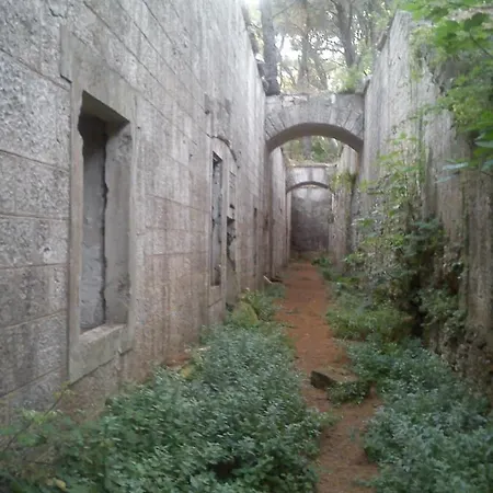 Violeta Apartman