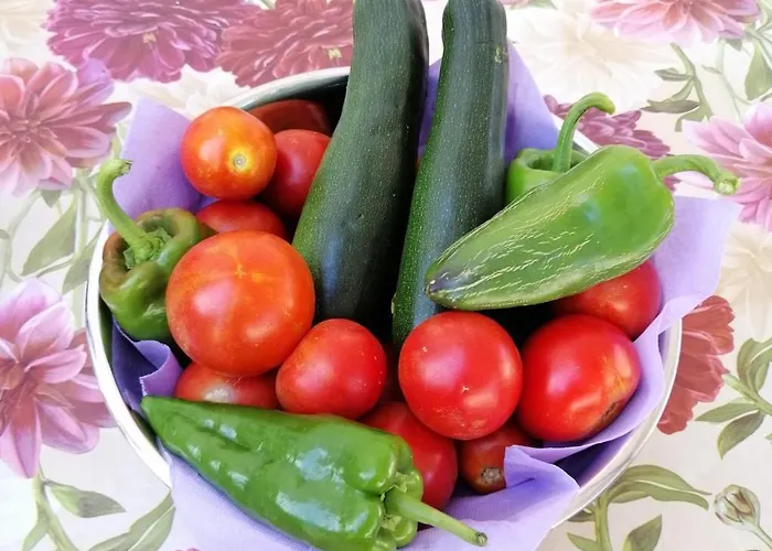 Violeta Διαμέρισμα *