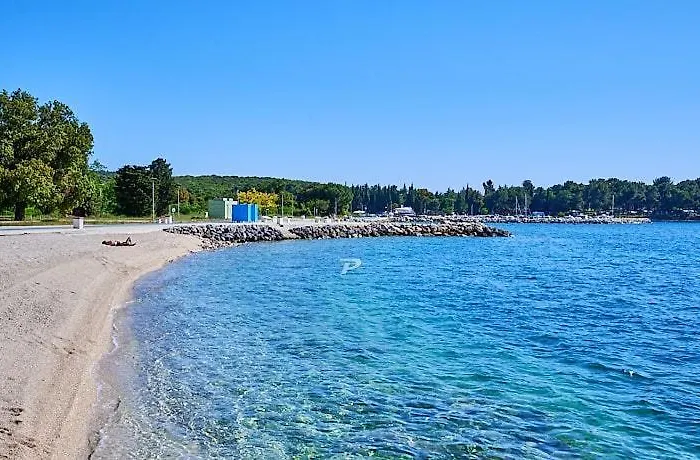 Violeta * Πούλα