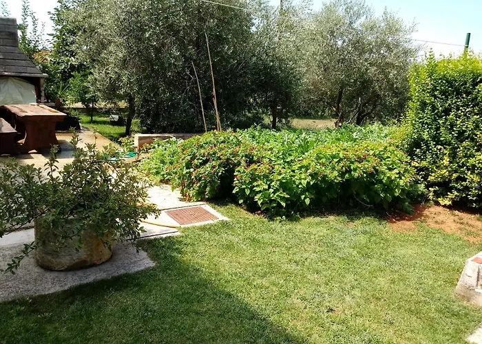 Violeta Διαμέρισμα